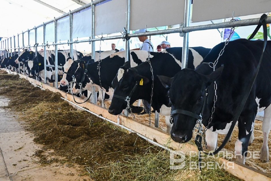 В Атнинском районе Татарстана началось строительство животноводческих комплексов на 5,1 млрд рублей