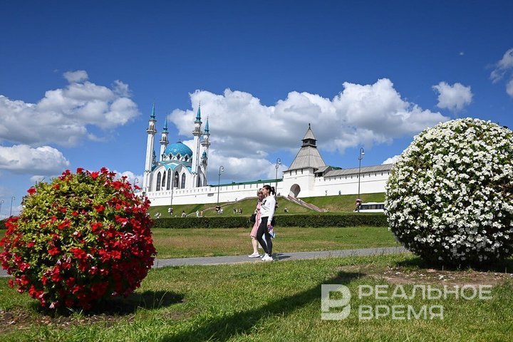 В Казани цветами украсят 84 улицы и 27 городских магистралей