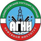 Альметьевский государственный нефтегазовой институт