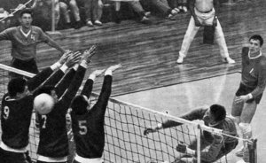 Учиться, учиться и играть в волейбол