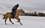 «Татарские лошади должны остаться, чтобы о них и через 1000 лет все знали»