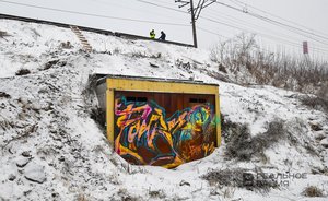 Генподрядчик «зажал» выплату «Казметрострою» за тоннель Казанского зооботсада