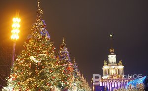 Парад елок на ВДНХ: фотогалерея «Реального времени» и проекта «Гид по России | Путешествия»