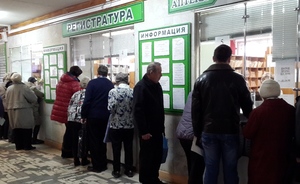 Cвиной грипп уже в Татарстане… Казань перешагнула порог эпидемии на 53%
