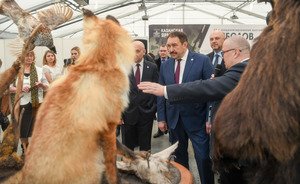 Диких животных Татарстана оценили более чем в 1,6 млрд рублей