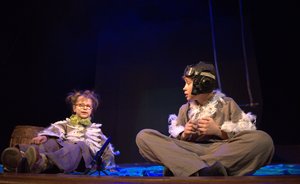 Ричард Бах и инклюзия: «Чайка по имени Джонатан Ливингстон»