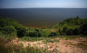 Вышли на «Волжские просторы» — в Татарстане новый заказник