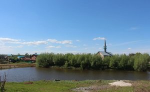 «Большинство представителей «башкир» Мензелинского уезда записали себя татарами»