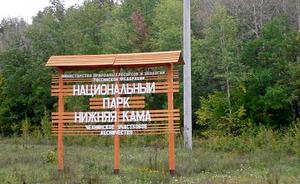 ​Битва за Боровецкий лес: тень подозрений брошена на юриста «ЕвроГрупп» и тукаевских чиновников