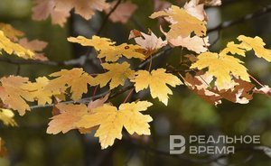 Самые неожиданные сюрпризы погоды в Казани за 124 года