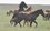 Рафаэль Хакимов: «Степной татарский конь выше монгольской лошади, но меньше арабского скакуна»