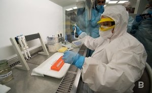 Минобороны: на Украине недалеко от территории России велась разработка компонентов биологического оружия