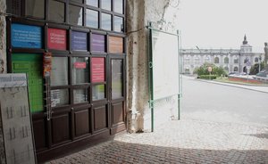 Опрос «Реального времени»: как вы пережили коронакризис и какие выводы сделали?