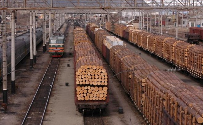 Реферат: Рубки и экспорт древесины в Китай - региональный фокус. Амурская область