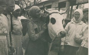 Фотомарафон «100-летие ТАССР»: делегаты Мензелинска на сельхозвыставке, 1930-е годы