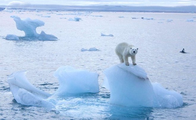 Происходящее в Арктике все больше влияет на жизнь людей во всем мире