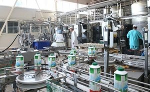 «Башмилк» снова напрашивается на молоко: башкиры затевают мегапереработку в Татарстане