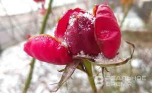 Репетиция зимы: на Татарстан движутся метель и мощный снегопад