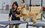 Человек — собаке друг: рейтинг казанских хвостатых «аристократов»