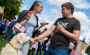 Маркировка на время «заморозила» производство мороженого