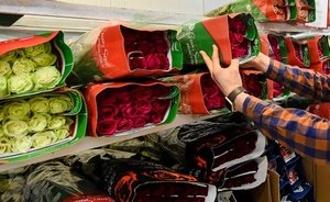 Цветы оптом: как Узбекистан стал основным импортером роз в ПФО, а Мордовия — экспортером