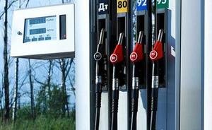 «Бороться с повышением цен на бензин увеличением налогов — это идиотизм!»