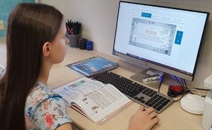 Минобрнауки и силовики обеспокоены ростом числа школьников-«семейников» в Татарстане