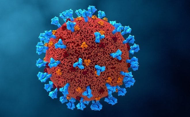Станет ли новый коронавирус AY.4.2 основой нового опасного штамма? —  Реальное время