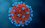 Станет ли новый коронавирус AY.4.2 основой нового опасного штамма?