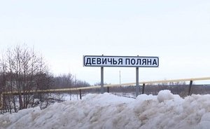 Девичья Поляна: за что деревню в две улицы называют «деревня-мать»?