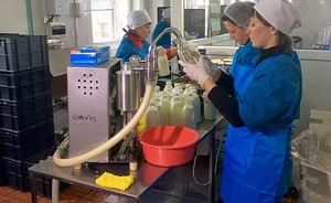 Татарстан сливает молоко на сторону