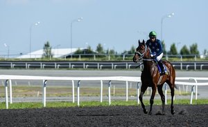 «Это подрывает авторитет, статус и престиж казанского ипподрома»