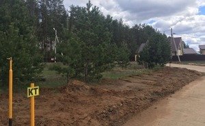 Коттеджный захват под Челнами: силовики отбивают еще 2,7 га леса