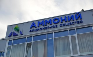 «Не можем представить, что производственная структура «Аммония» перейдет под контроль пенсионерки»