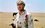 «Белое солнце пустыни»: культовый фильм, который спас Брежнев