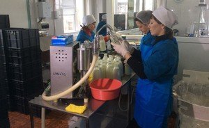 «В Россию через Белоруссию было завезено много сухого молока практически контрабандой»