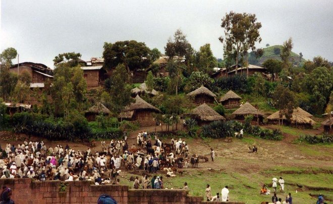 «На примере Эфиопии можно увидеть, как бы развивалась Африка без колонизации»