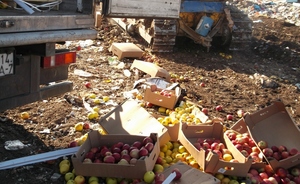 Суд отправит польские яблоки с казанского «Привоза» в печь или под бульдозер