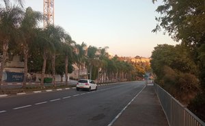 День в истории: Палестину поделили, Пржевальский уехал