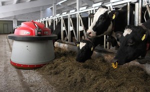 Коллективное падение: крупнейшие молочные фермы Татарстана теряют позиции