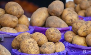 4 вопроса о генетически отредактированных культурах растений и животных