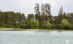 Новая жизнь Лебяжьих озер: как восстанавливали уникальные водоемы Казани