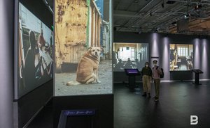 Мультимедийная старая страна — на выставке Саши Гром показали непарадную историю России