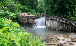«Две стороны зеркала: целительные силы экотерапии для отдыха и восстановления от активной городской жизни»