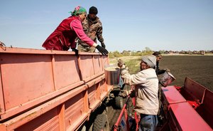 «По 100 тысяч га в последние дни засевают»: аграрии Татарстана надеются на прибыльный год
