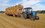 Татарстан впервые начал экспортировать сено в Европу