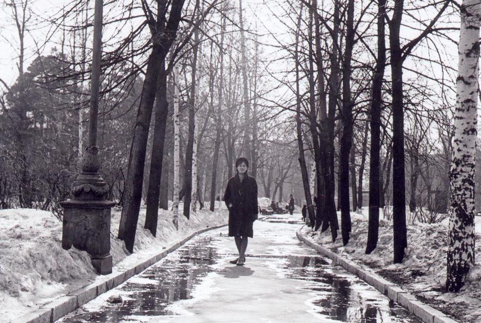 И вот визитная карточка сада «Эрмитаж» — центральная аллея! Ее можно узнать на снимках разных лет. Так она выглядела в 1967 году