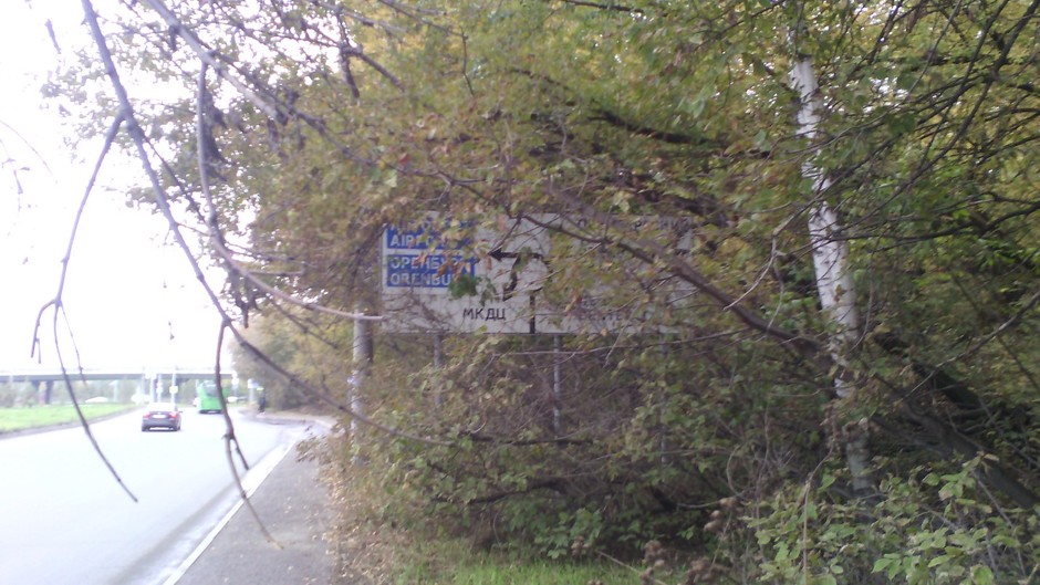 Дорожные знаки, спрятанные в кустах - для Казани уже традиция