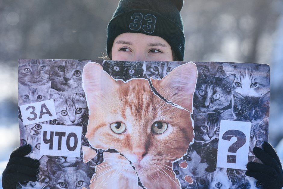 Зоозащитники на всероссийской акции «Закон нужен сейчас», 24 февраля