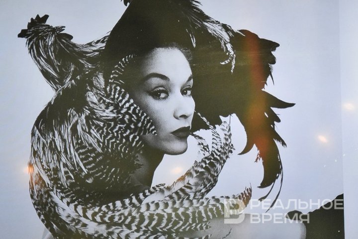 Модные квадроберы XIX—XX веков: как мода перестала быть только человеческой